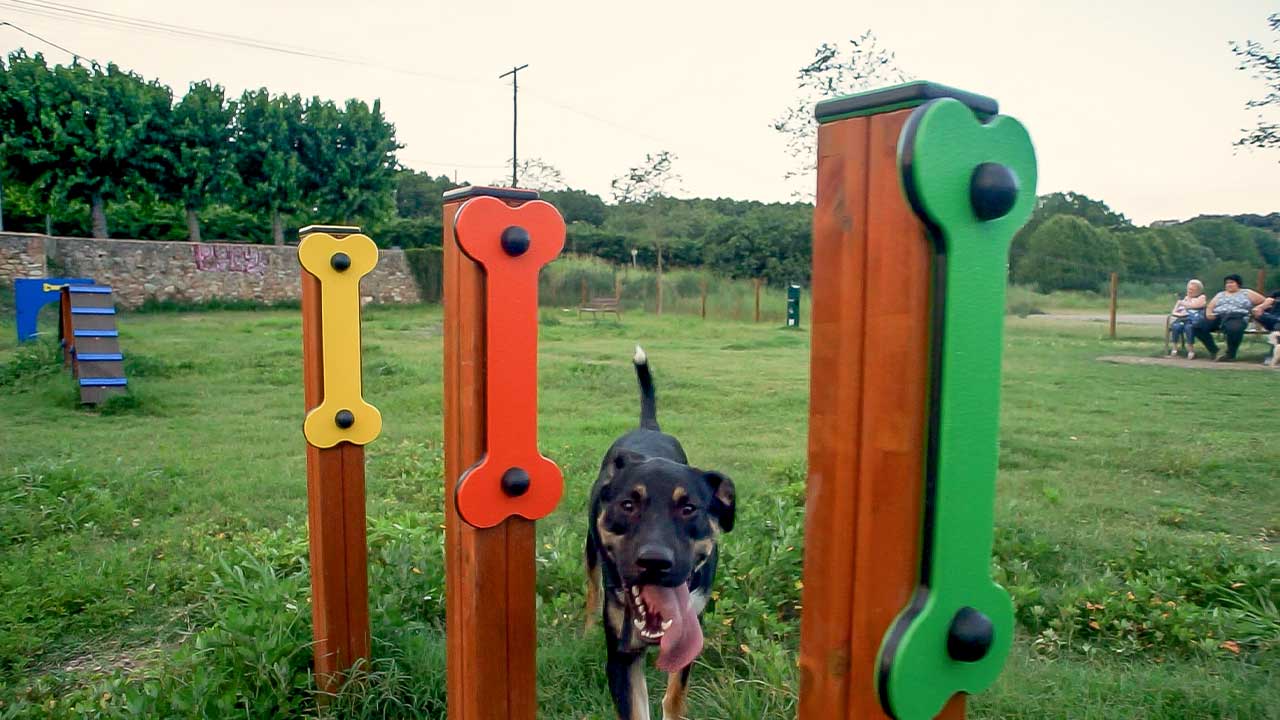 Agility course in Bescanó